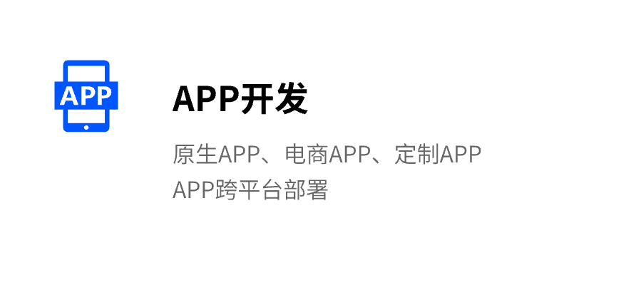 APP开发